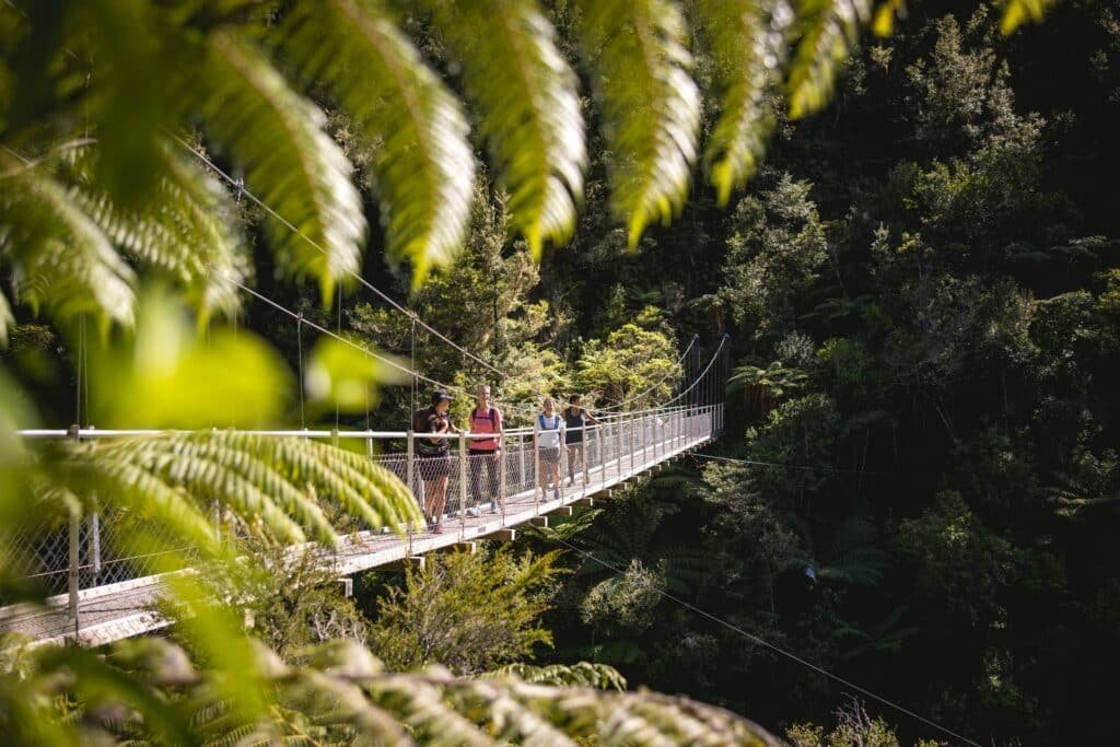 Small group of hikers crossing a suspension bridge surrounded by lush forest in Abel Tasman National Park
