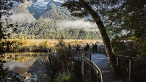 Visitors standing on the Mirror Lakes viewing platform admiring the calm reflective lakes surrounded by native forest