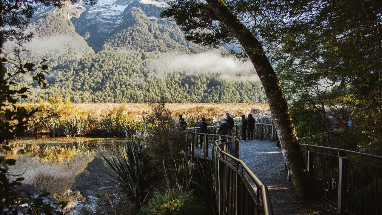 Visitors standing on the Mirror Lakes viewing platform admiring the calm reflective lakes surrounded by native forest