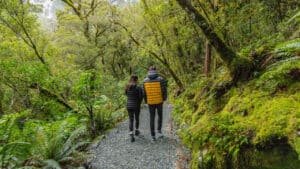 Couple walking along a lush native forest trail surrounded by towering trees