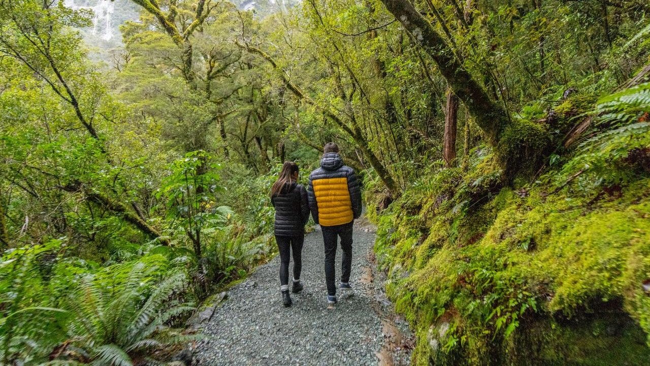 Couple walking along a lush native forest trail surrounded by towering trees