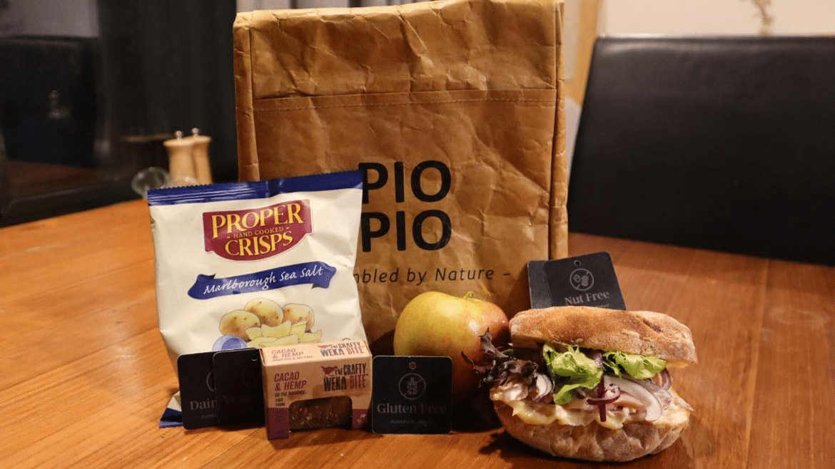 Well-prepared packed lunch with fresh sandwiches and snacks for a scenic tour