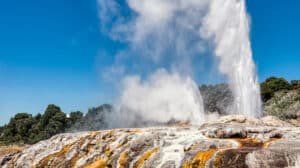 Powerful geyser erupting steam and water at Te Puia Geothermal Park in Rotorua