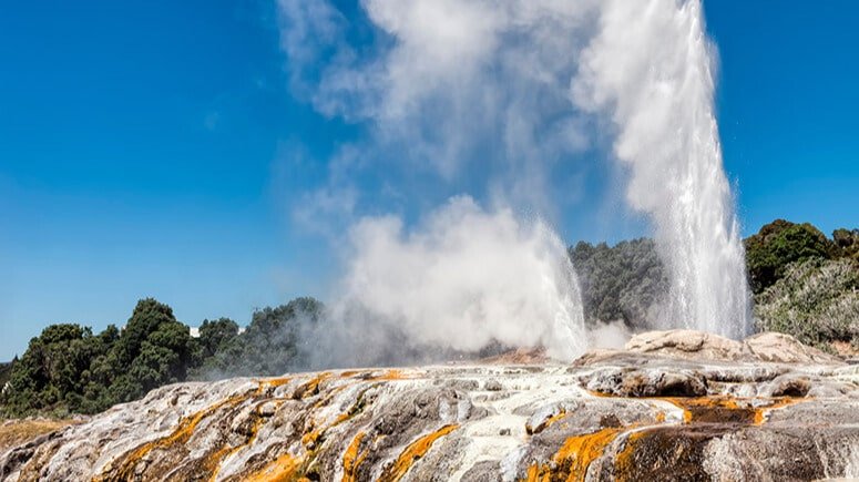 Powerful geyser erupting steam and water at Te Puia Geothermal Park in Rotorua