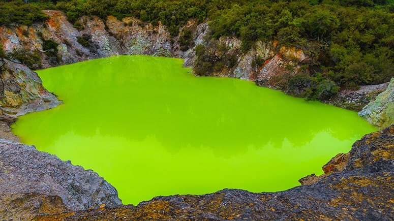 Bright green thermal pond surrounded by native vegetation in Rotorua geothermal area