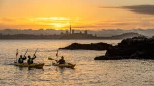 Small group of sea kayaks paddling toward Rangitoto Island at sunset near Auckland
