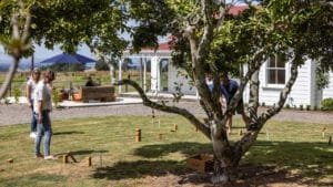 Guests playing kubbs lawn game with drinks and nibbles nearby
