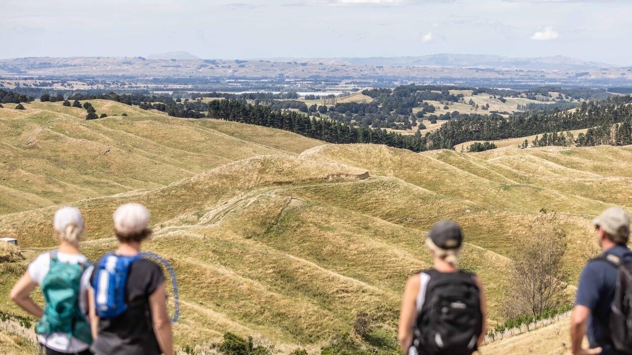 Group admiring rolling hills from the ridge during a tramp walk