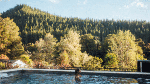 Person swimming in the heated magnesium pool at Maruia River Retreat surrounded by lush rainforest