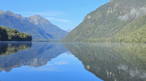 Glass-like reflections on Lake Gunn surrounded by native forest