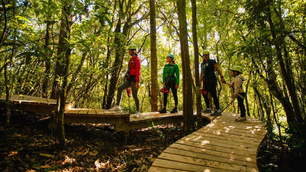 Walking up boardwalk and stairs surrounded by native bush on the way to the zipline in Okere Forest