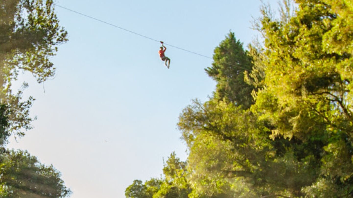Adventurer ziplining high above the treetops in Okere Forest, Rotorua