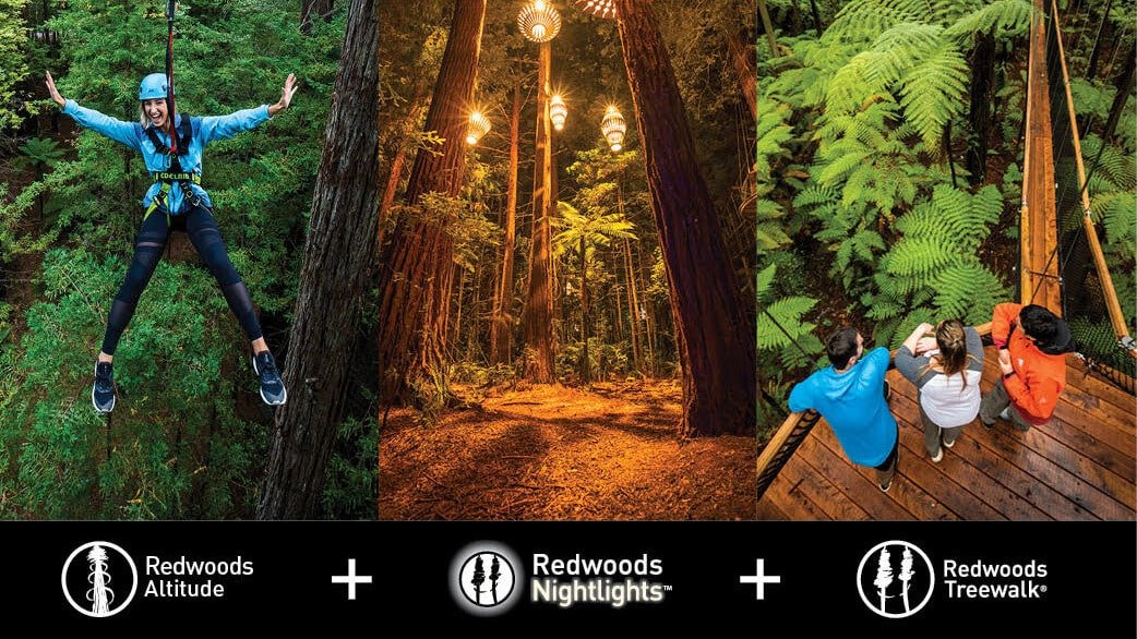 Redwoods Treewalk illuminated with nightlights and glowing lanterns in Rotorua