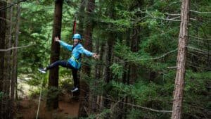 Person ziplining through towering redwood trees on an adventure tour in Rotorua