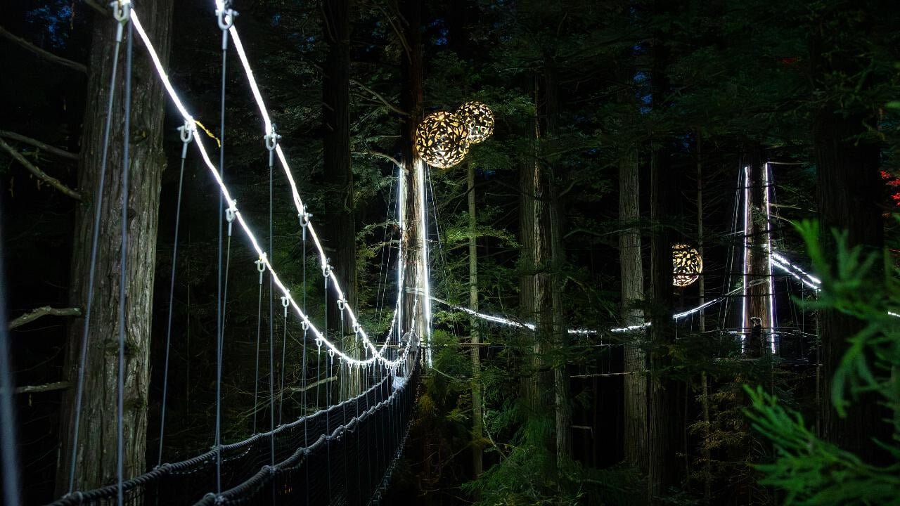 Redwoods Treewalk illuminated by glowing lanterns and light spheres creating a magical night scene
