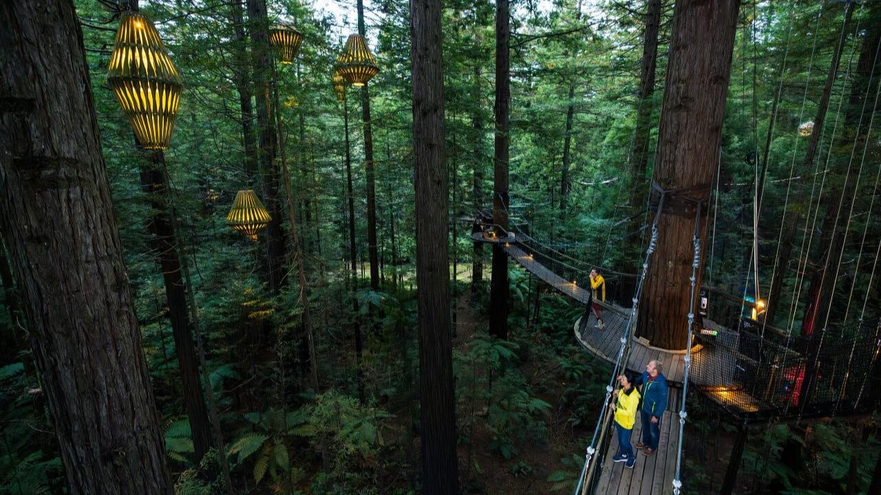 Redwoods Treewalk illuminated by glowing lanterns and night lights among towering trees