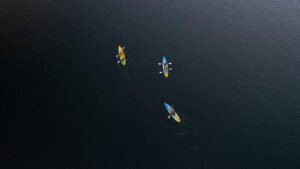 Aerial view of a group kayaking together on calm waters in Rotorua
