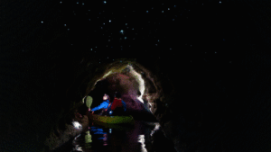 Kayaking through stunning glow worm caves illuminated by thousands of glowing glow worms in Rotorua