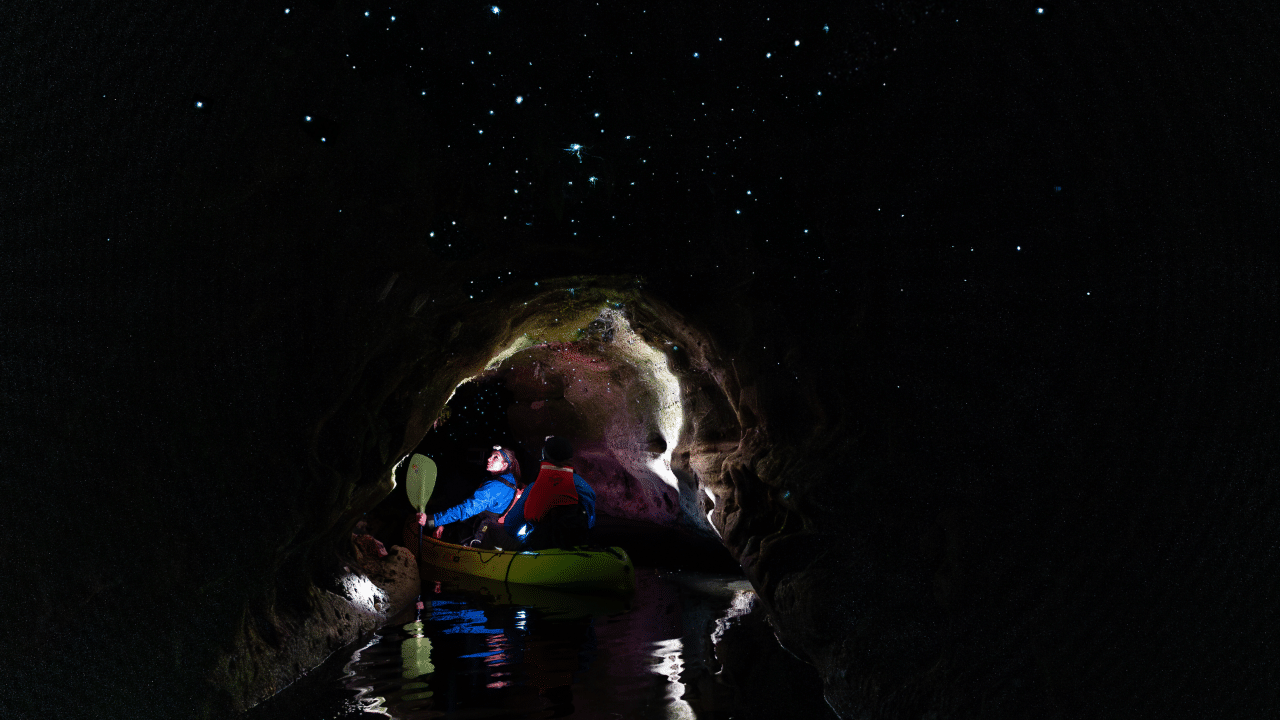 Kayaking through stunning glow worm caves illuminated by thousands of glowing glow worms in Rotorua