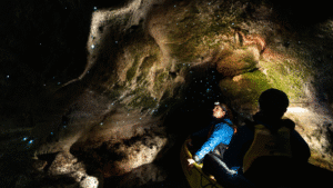 Glowing glow worms illuminating the ceilings of water caves on a Rotorua kayak tour