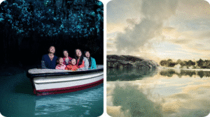 Boat ride under glowing worms at Waitomo Caves and erupting geyser at Rotorua geothermal park