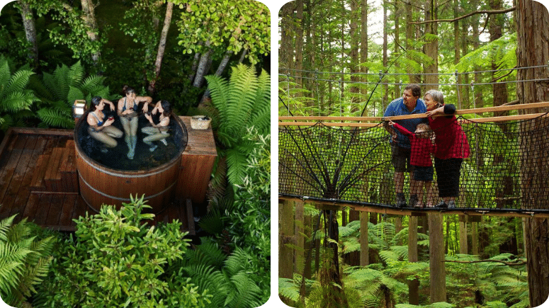 Group relaxing in a private hot tub surrounded by native forest and family crossing a rope bridge in Rotorua Redwoods