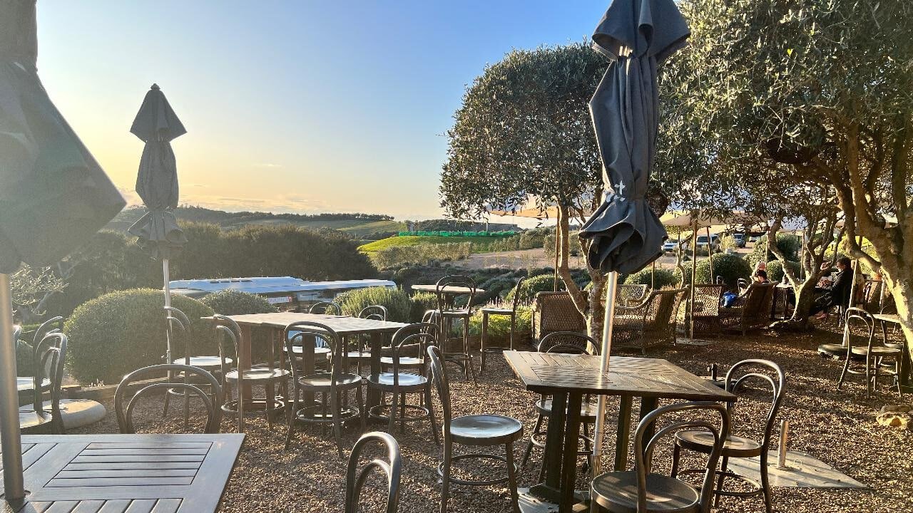 Guests dining outdoors with expansive views of Waiheke Island vineyards and coastline
