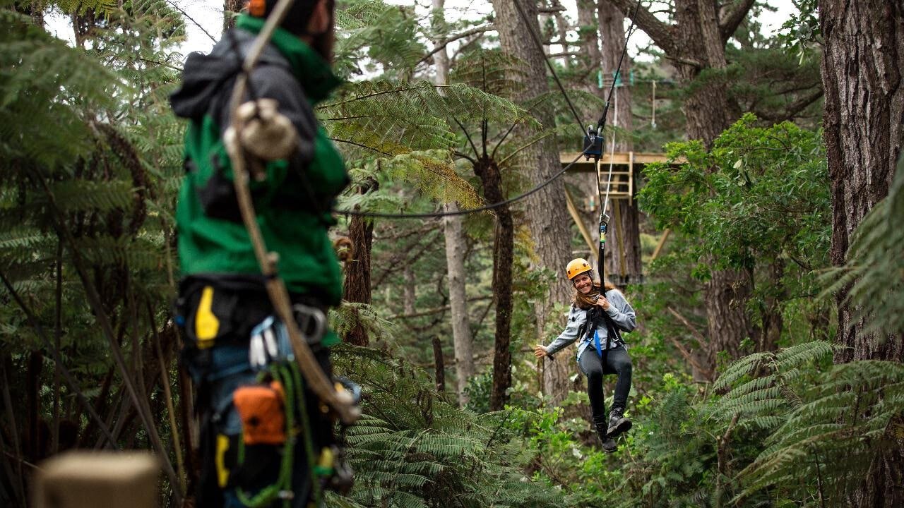 Person ziplining from tree to tree through the native bush canopy in Coromandel