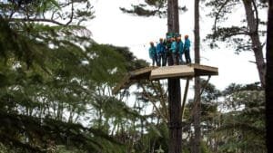 Group gathered on a tree-top platform preparing to zipline through native bush in Coromandel