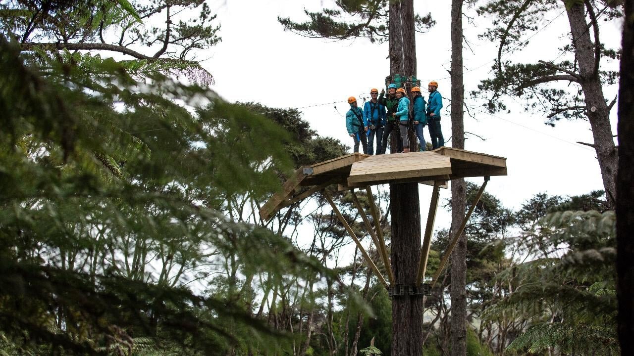 Group gathered on a tree-top platform preparing to zipline through native bush in Coromandel