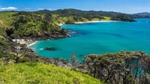 Scenic view looking down from a hilltop over a picturesque bay with lush greenery in the Bay of Islands.
