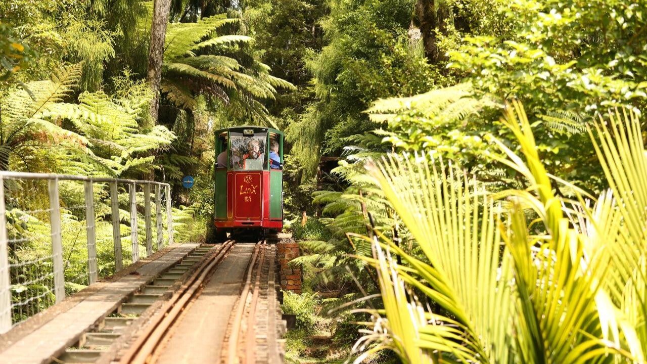 Train crossing a bridge surrounded by dense native bush on the Driving Creek Railway in Coromandel