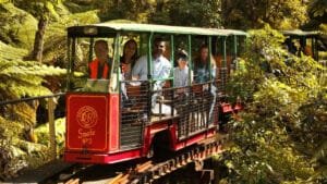 Train traveling through lush native bush on the Driving Creek Railway in Coromandel