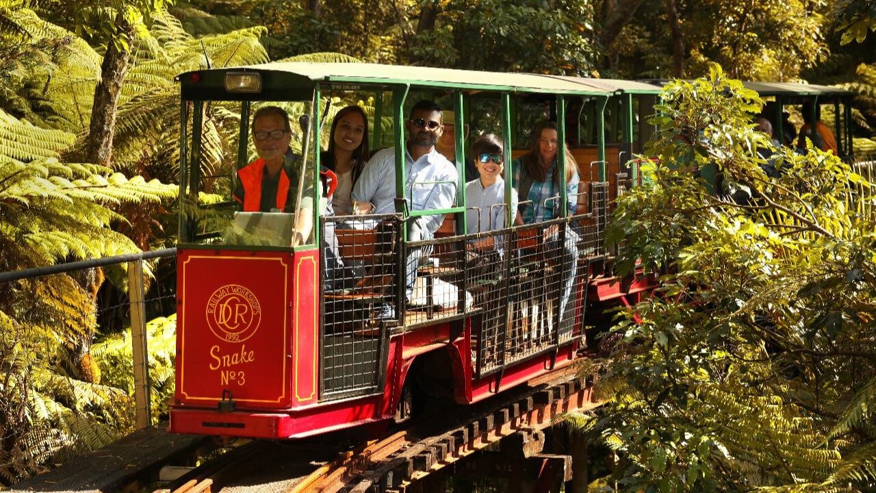 Train traveling through lush native bush on the Driving Creek Railway in Coromandel