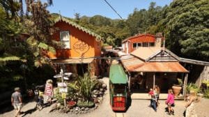 Driving Creek Railway station building surrounded by native bush in Coromandel, New Zealand