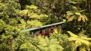 Train traveling through thick native bush on the Driving Creek Railway in Coromandel