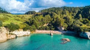 Dreamy golden sand beach with calm bay waters on the Coromandel Peninsula near Cathedral Cove