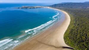 Golden sand beach with clear blue water and native bush along the coastline