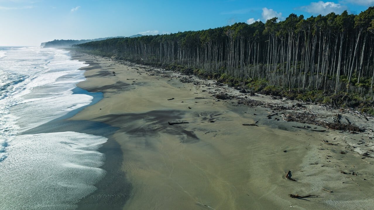 Sandy beach bordered by native New Zealand bush along the coast near Bruce Bay.