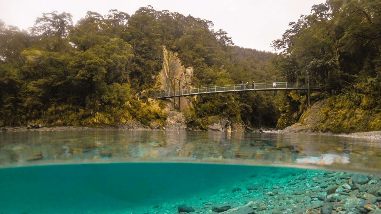 Wooden footbridge crossing over a vibrant blue lagoon surrounded by native bush on New Zealand’s West Coast.