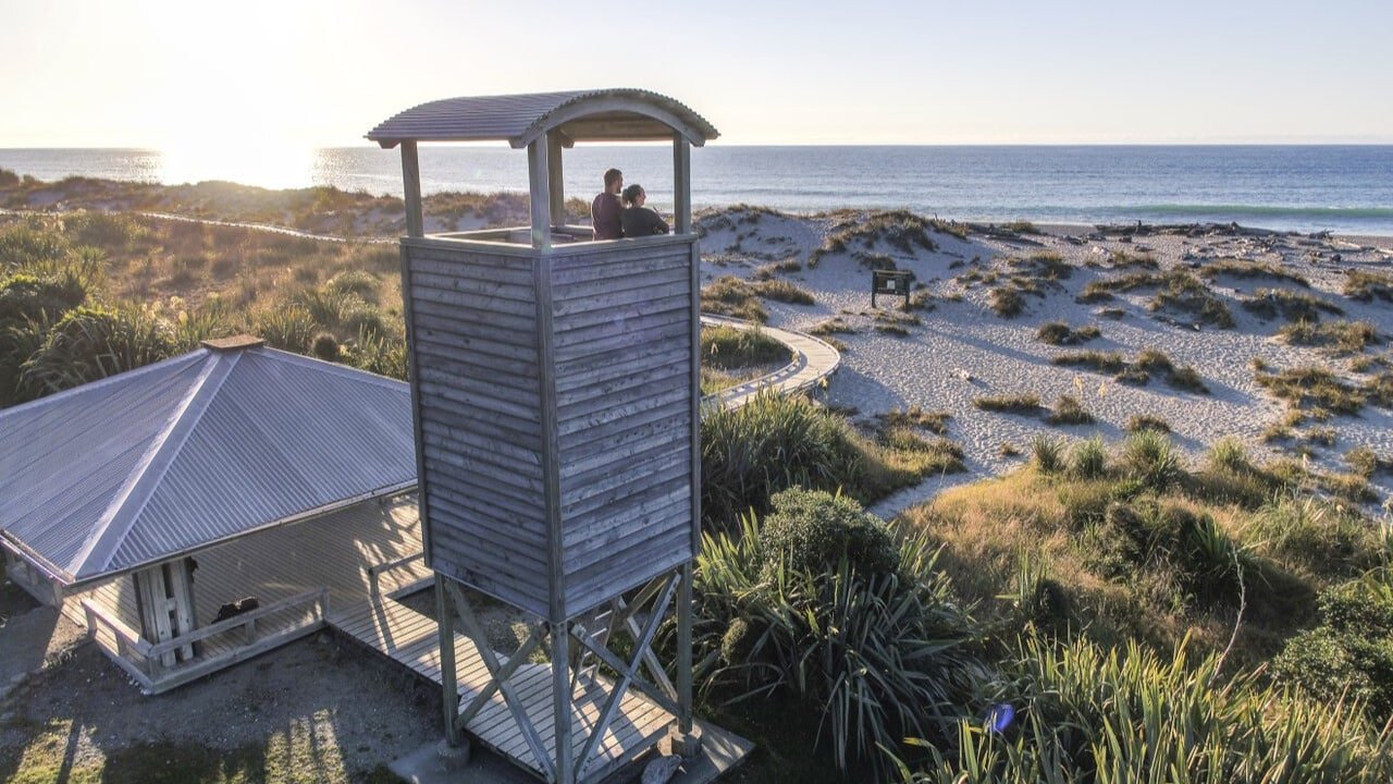 Wooden lookout tower overlooking a sandy beach and native bush on the West Coast Ship Creek Walk.