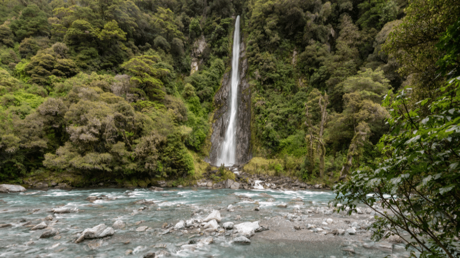 Majestic waterfall cascading down rocky cliffs surrounded by native bush on New Zealand’s West Coast.