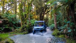 Family riding a 4x4 buggy through native bush and shallow water during an adventure tour in Franz Josef.