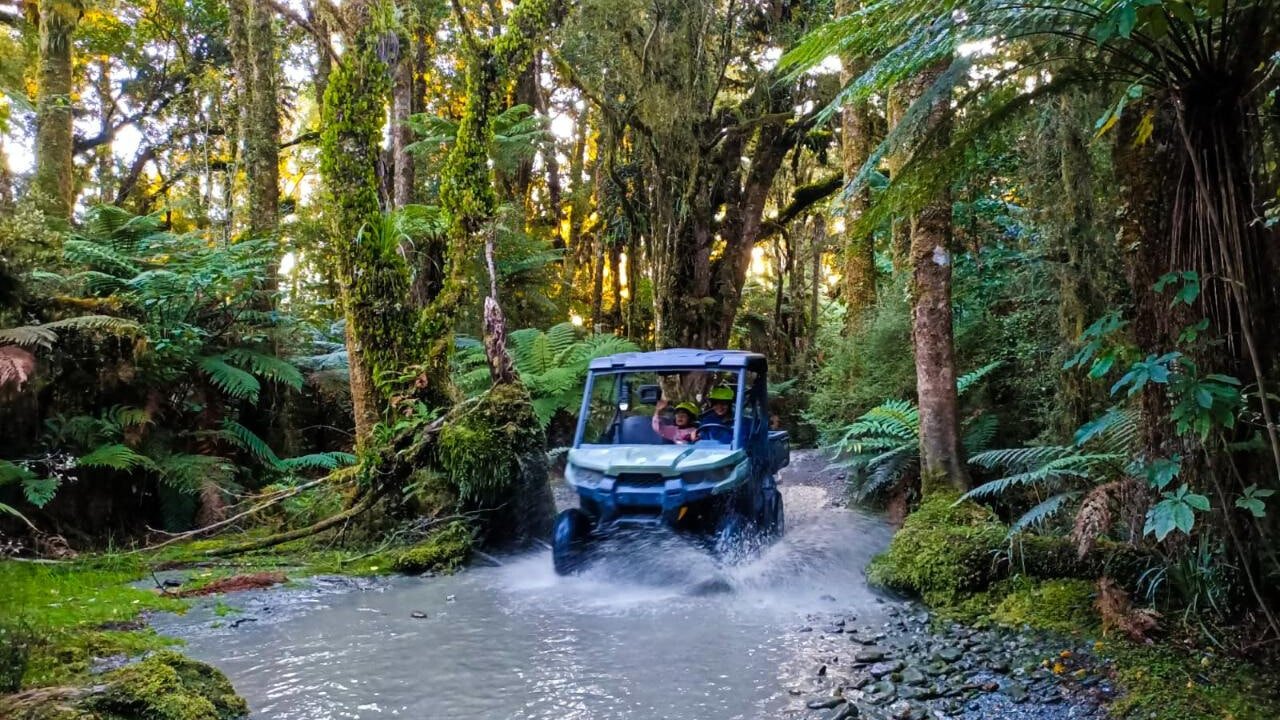 Family riding a 4x4 buggy through native bush and shallow water during an adventure tour in Franz Josef.