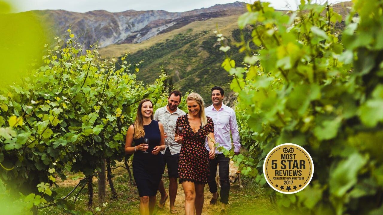 Group of people walking through Queenstown vineyards with wine glasses in hand on a 5-star twilight wine and craft beer tour