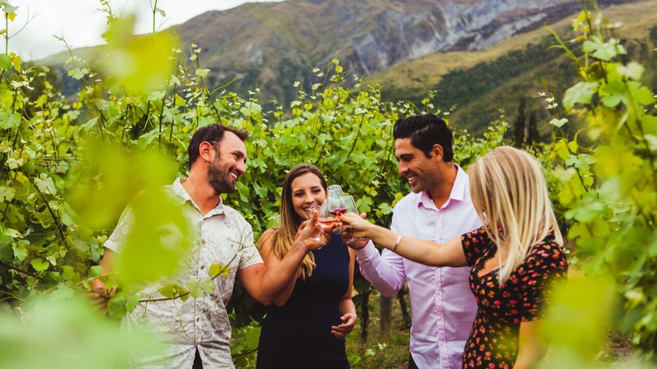 People clinking wine glasses in celebration amid lush vineyards on a Queenstown wine sampler tour.