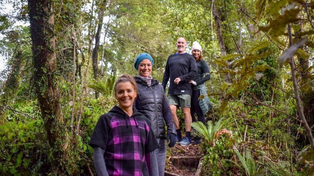 Guests walking through native New Zealand bush surrounded by ferns during a guided Franz Josef nature tour.