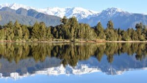 Perfect mirror reflection of trees and snow-capped mountains in a still lake during a Franz Josef scenic cruise.