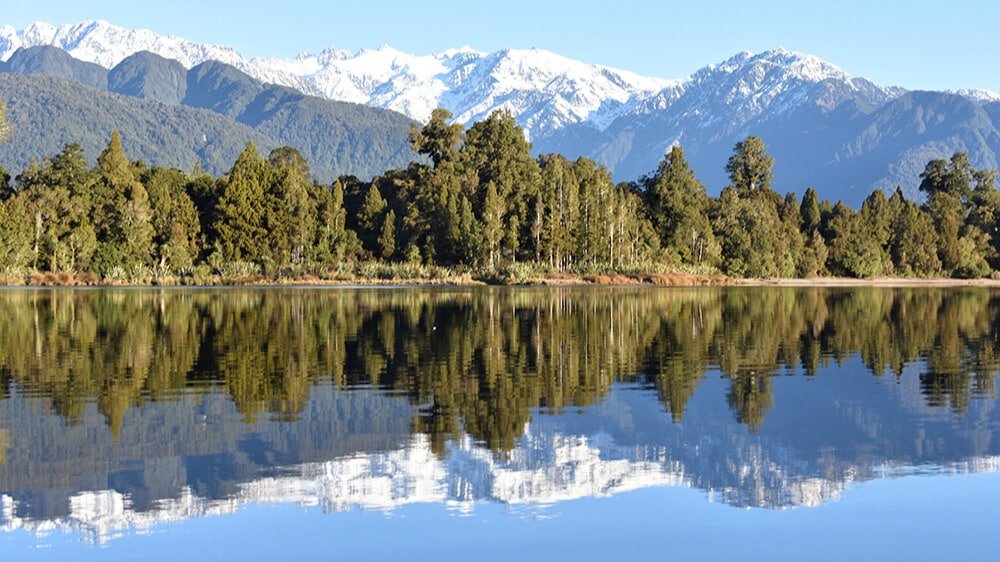 Perfect mirror reflection of trees and snow-capped mountains in a still lake during a Franz Josef scenic cruise.