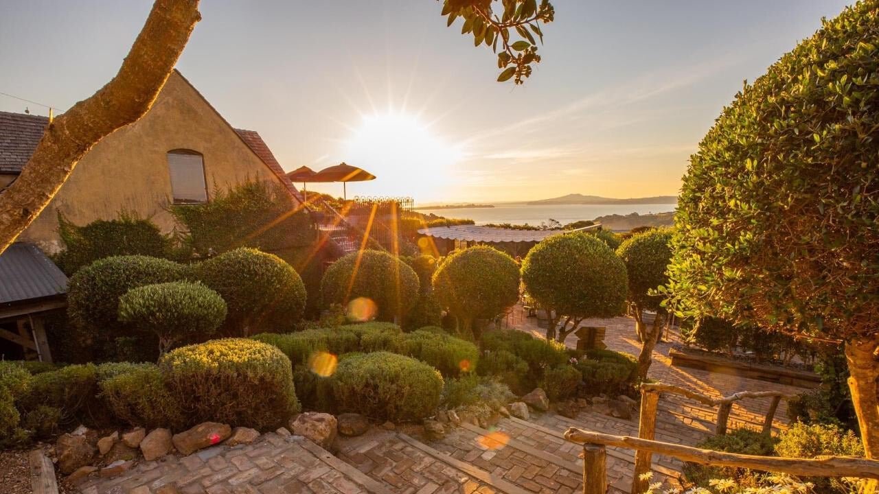 Sunset over a vineyard on Waiheke Island with wine glasses catching the warm glow